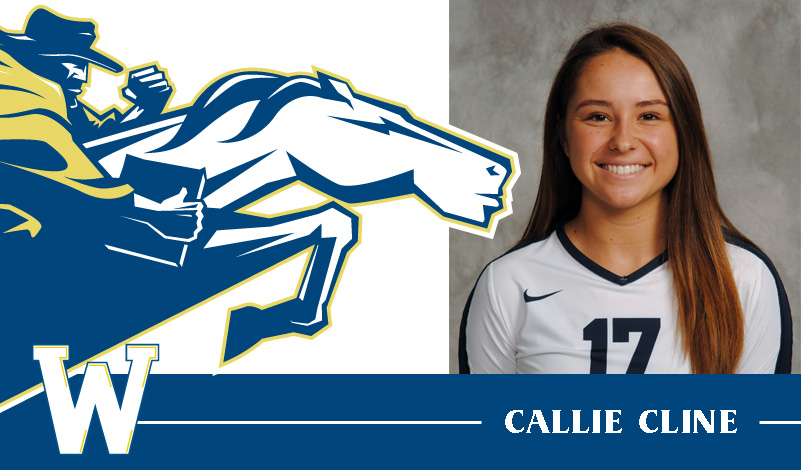 Volleyball's Cline Earns USA South Rookie of the Week Accolades